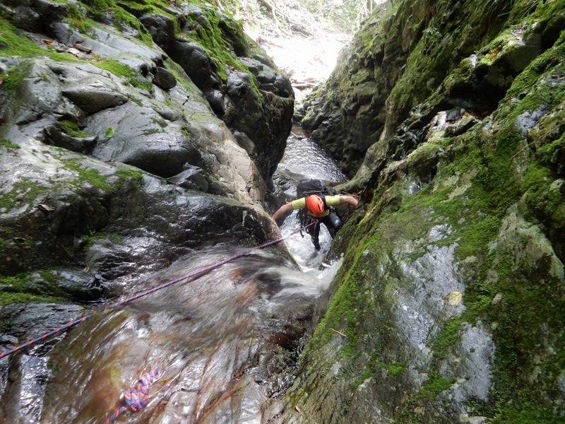 7月1日 奥多摩 川乗山・逆川 日本大学山岳部
